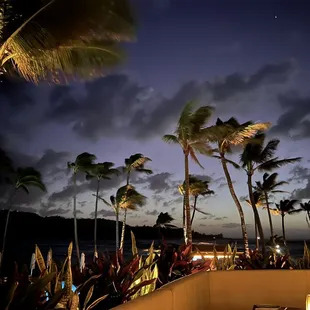 Night view from the restaurant