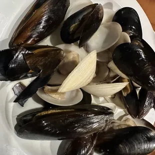 Clams