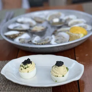 a plate of oysters with cavia