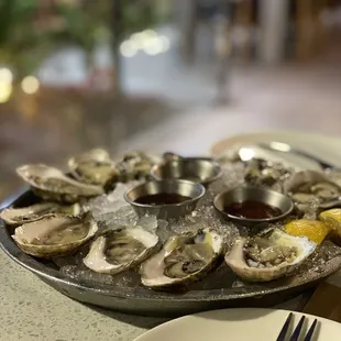 Oysters: Wellfleet &amp; Shibumi