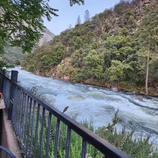 Great patio view of the river