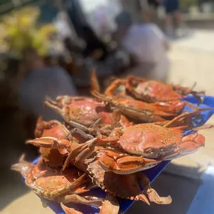 a plate of steamed crabs