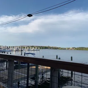 On the Alafia's edge.