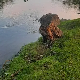 Peaceful view of the river from the backyard of the restaurant.