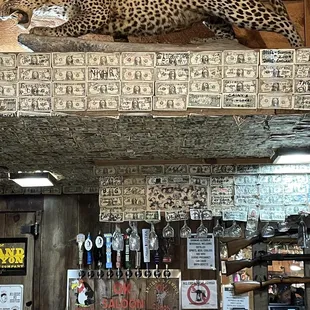 Dollars on the wall..