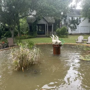 Koi pond and seating area.