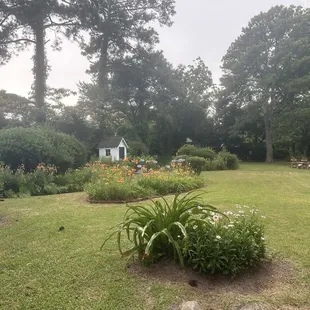 Backyard and green space. Beautiful!
