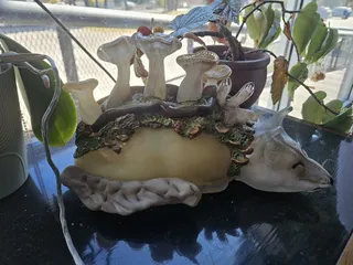 Starworks Cafe & Taproom 