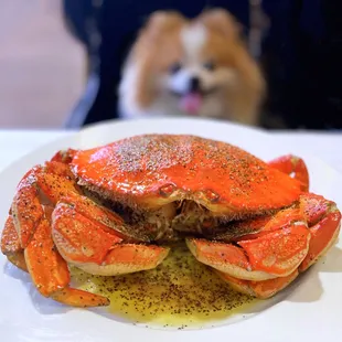 PROMO (until 12/20): Specialty Roasted Crab w/ brown butter, spices, salt &amp; pepper | $43.99 (fresh, not frozen but no tomalley.)