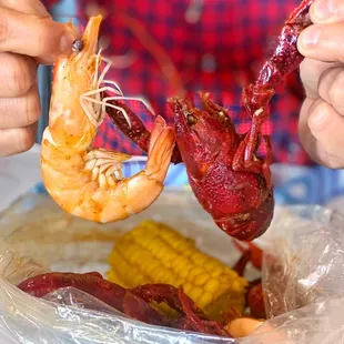 Fresh and big Crawfish and Shrimp