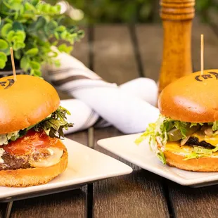 Gourmet and American Burgers