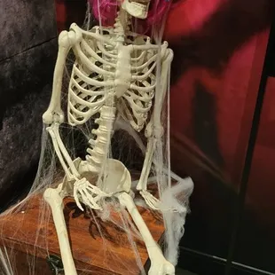 sushi and sashimi, interior