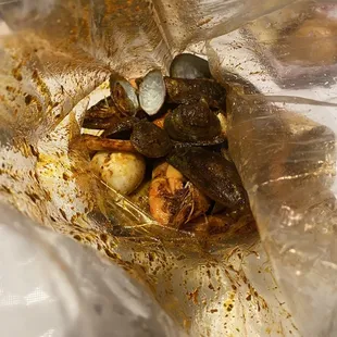 Rockin' combo bag (A)  Medium hot