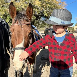 First time petting a horse let alone ride one