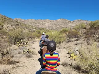 Saguaro Stables