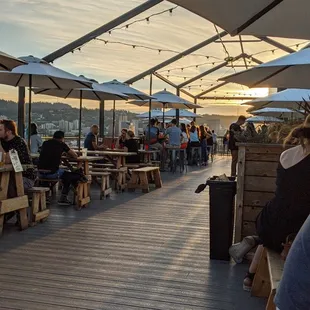 people sitting under umbrellas