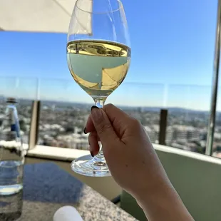 Pascal Joliet Sauvignon Blanc and view