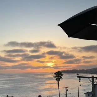 The view