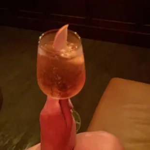 a person holding a glass of wine