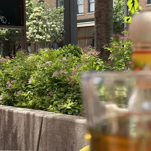 Patio view on a beautiful day