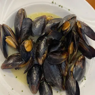 STEAMED CLAMS