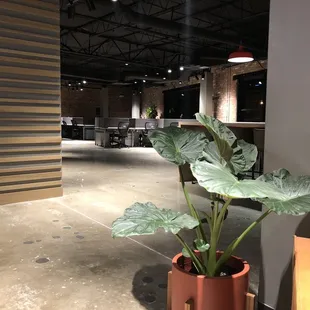 shared spaces and designated desks