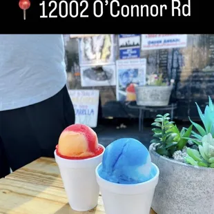 two cups of ice cream and a potted plant