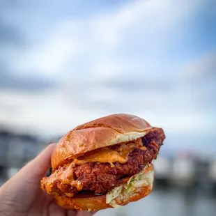 Nashville Hot Chicken Sandwich