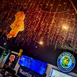 a teddy bear suspended from the ceiling