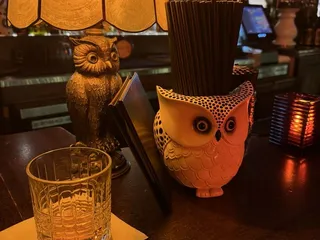 Owl Tree