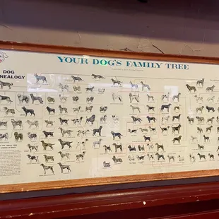 a dog&apos;s family tree