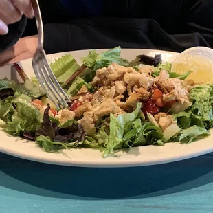 Knotty Chicken Salad