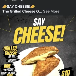 Every month a new grill cheese! This is the fried one for February