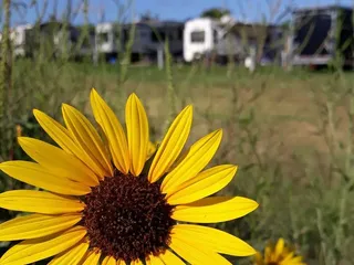 Gallagher Acres Rv Park