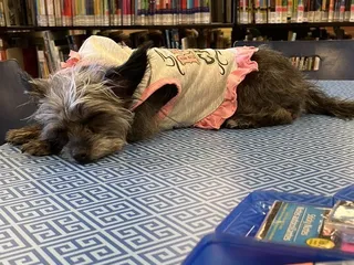 Sacramento Public Library - Southgate