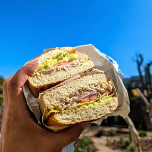tuna melt on ciabatta sandwich $14