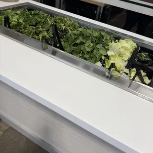 Lettuce station