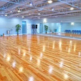 Beautiful Maple Dance Floor