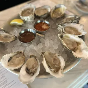 Oysters