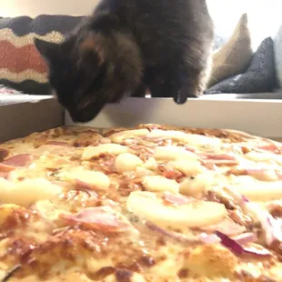Skittles loves the Polynesian Call Girl special pizza
