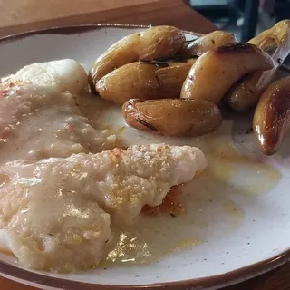 Hogfish Snapper