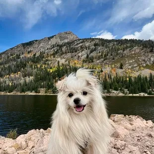 He loves Salty Dog wings!