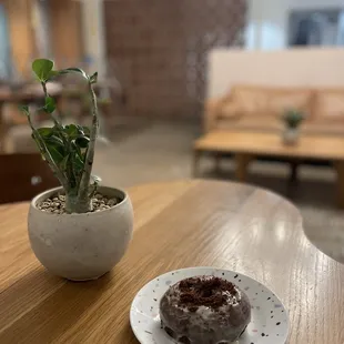 Cookies + Cream donut