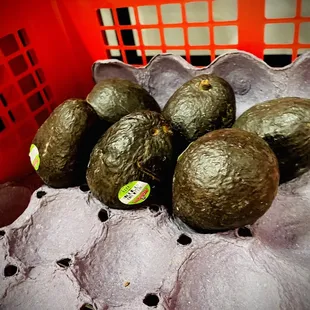 avocados in a basket