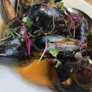 oysters and mussels, shellfish, oysters, food, mussels