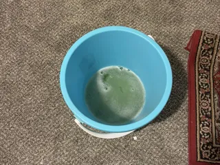 Metropolitan Fishers