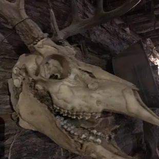 The Lost Dutchman's Mine; said by many to be the best in the state and top 5 in the country!