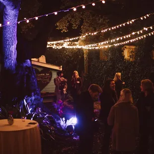 Open House Event - Maggie Svoboda Photography