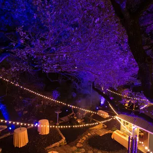 Maggie Svoboda Photography