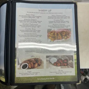 Appetizers and wings